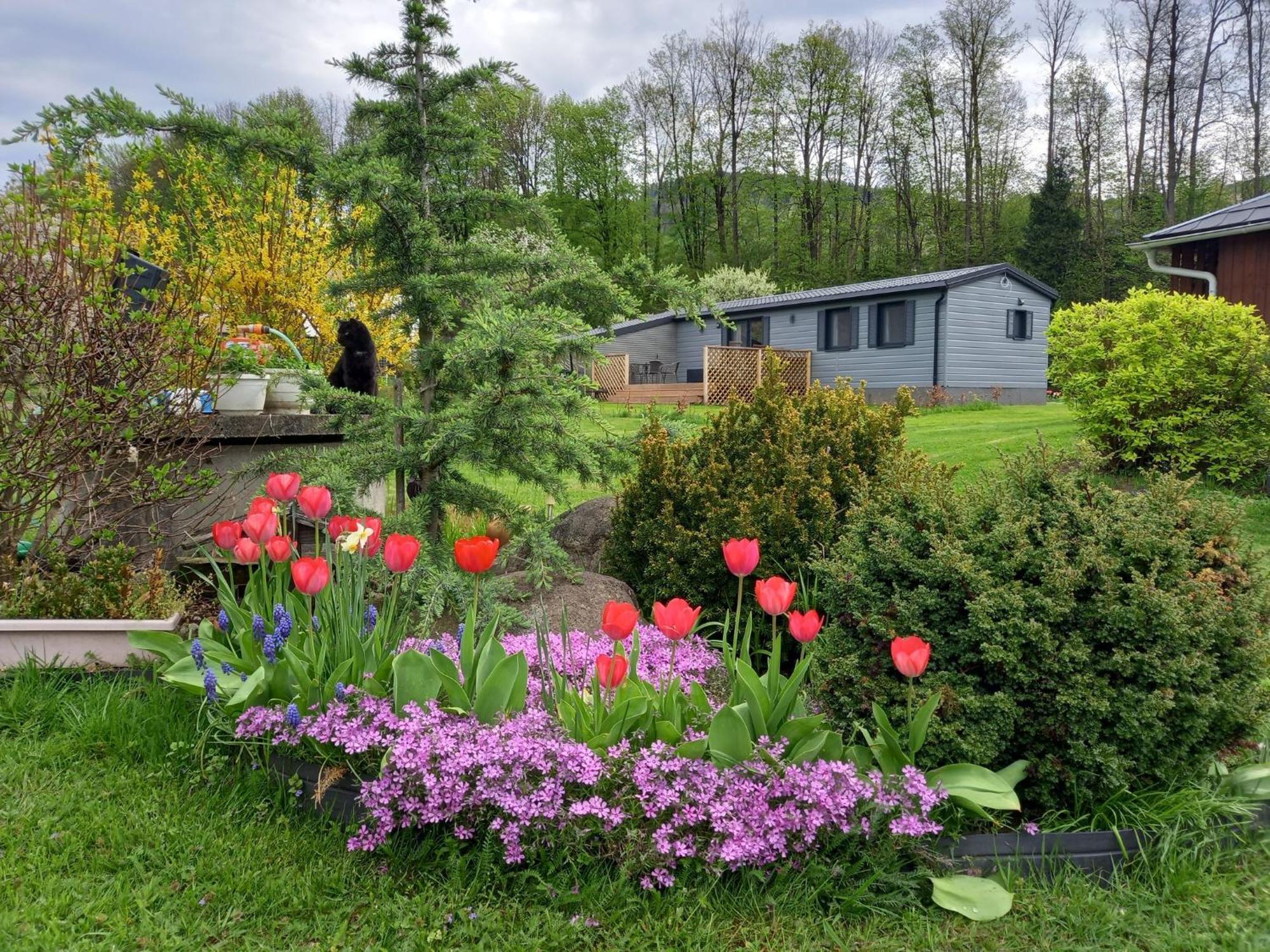 Chata Idylka - Nova Chata Se Zahradou Loučná nad Desnou Exterior foto